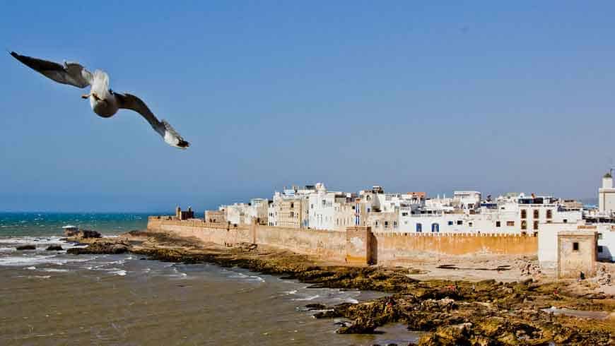 Essaouira Day Trip from Marrakech