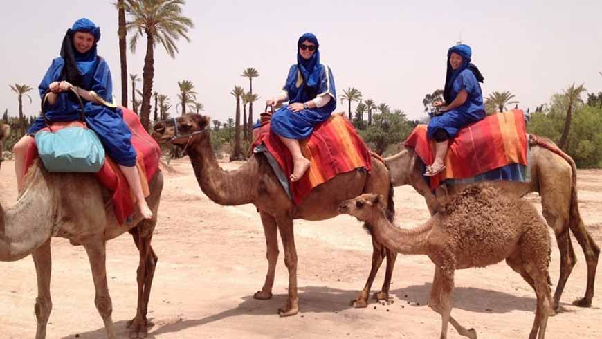 Marrakech Camel Ride