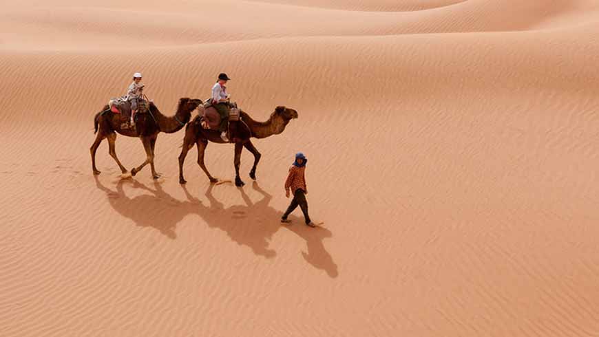 Riding Camels in Morocco