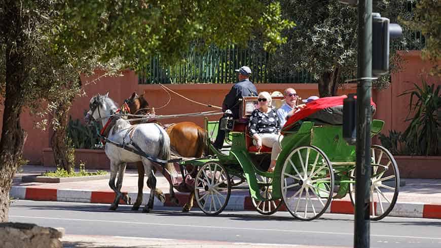 marrakech Horse Carriage Ride