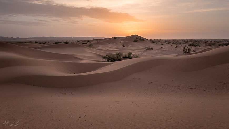 Zagora Desert Trps